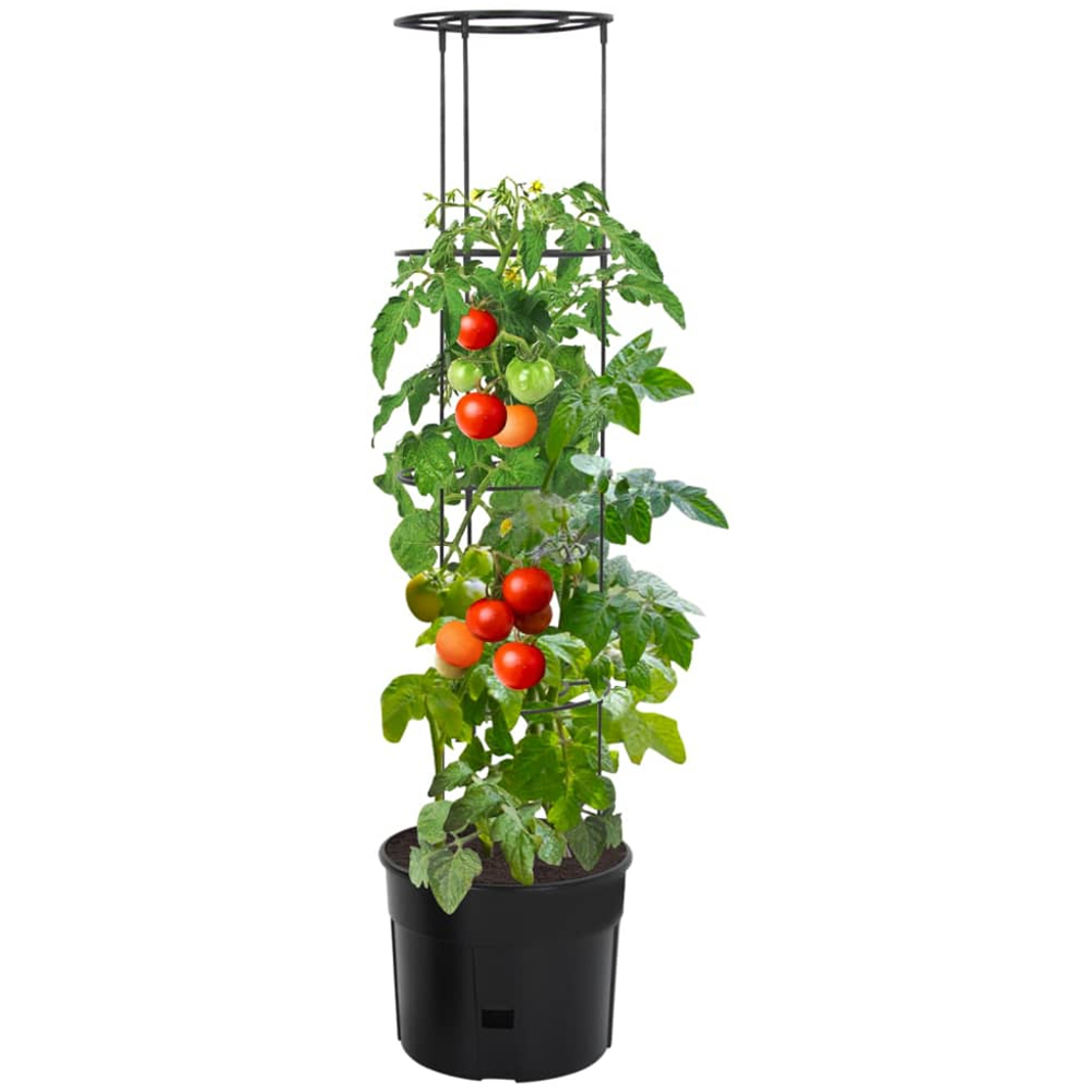 vidaXL Anthracite Polypropylene Tomato Grower Garden Planter 150 x 39cm Image 2