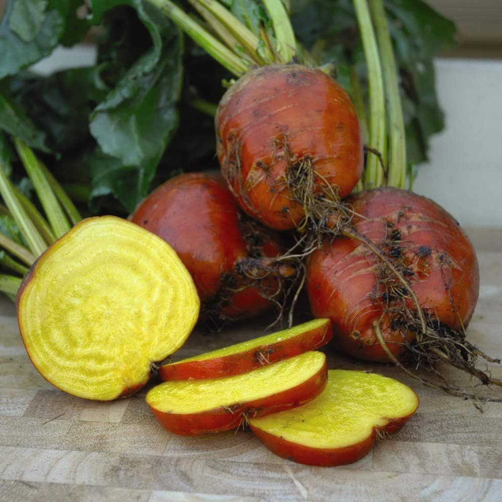 Thompson and Morgan Beetroot Boldor Seeds Image 2