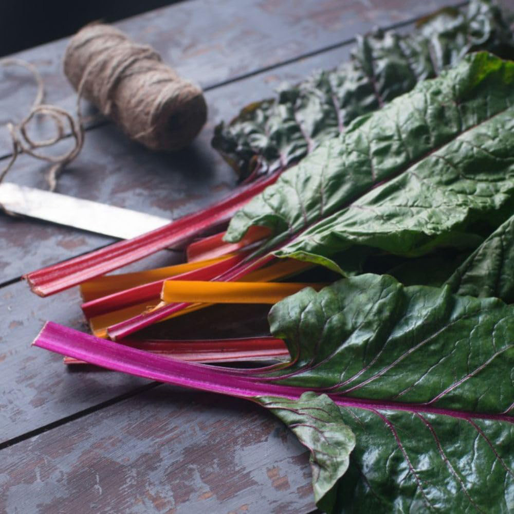 Thompson & Morgan Swiss Chard Beet Bright Lights Rubbed F1 Hybrid Seeds Image 2