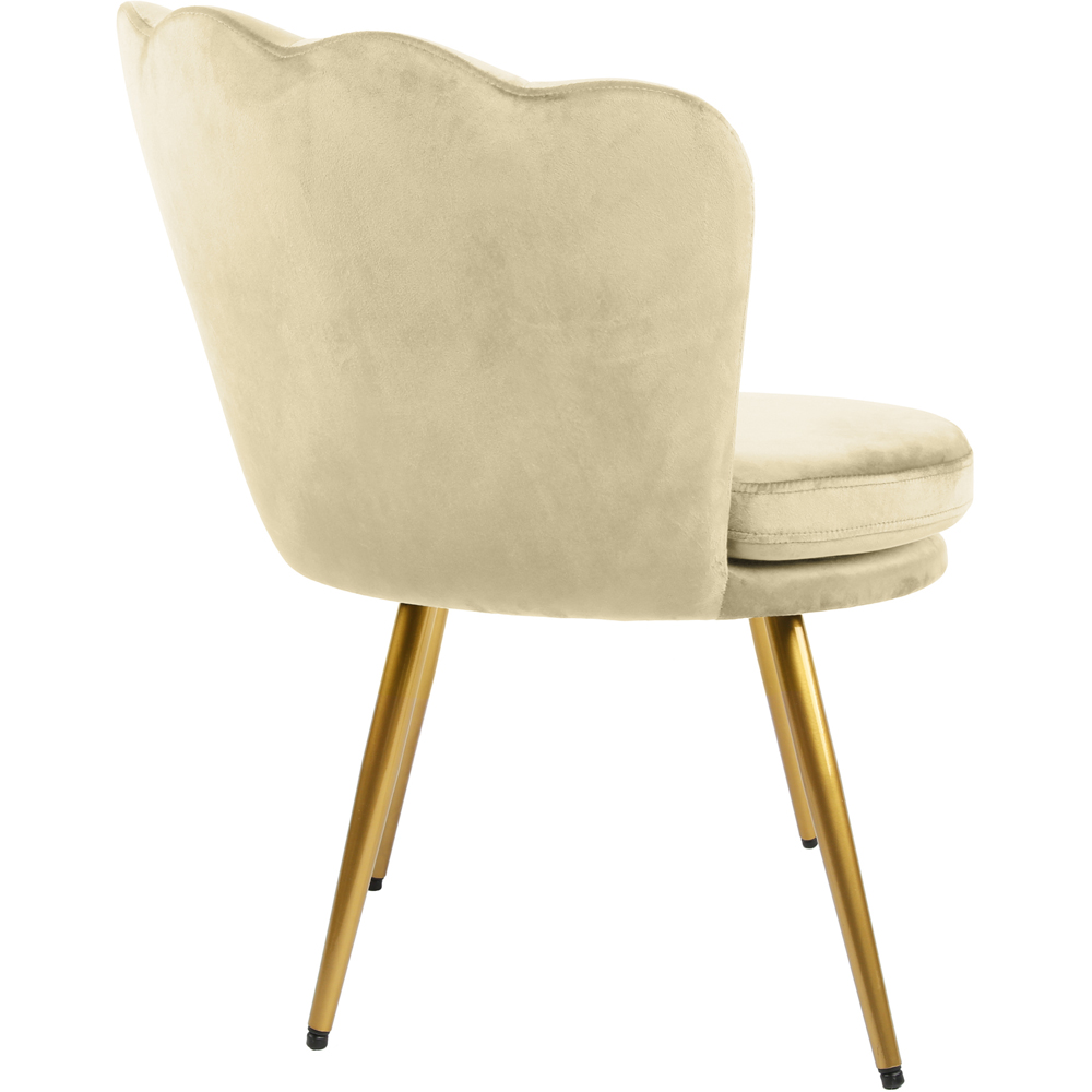 Flora Petal Back Accent Tub Chair Velvet Upholstery - Champagne Image 4
