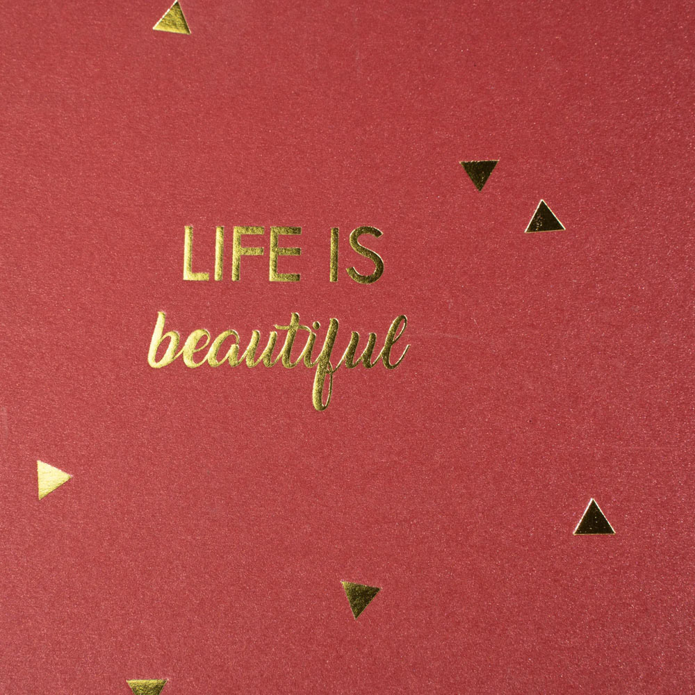 Exacompta Life Red Wirebound Photo Album 50 Pages 150 Photos Image 7