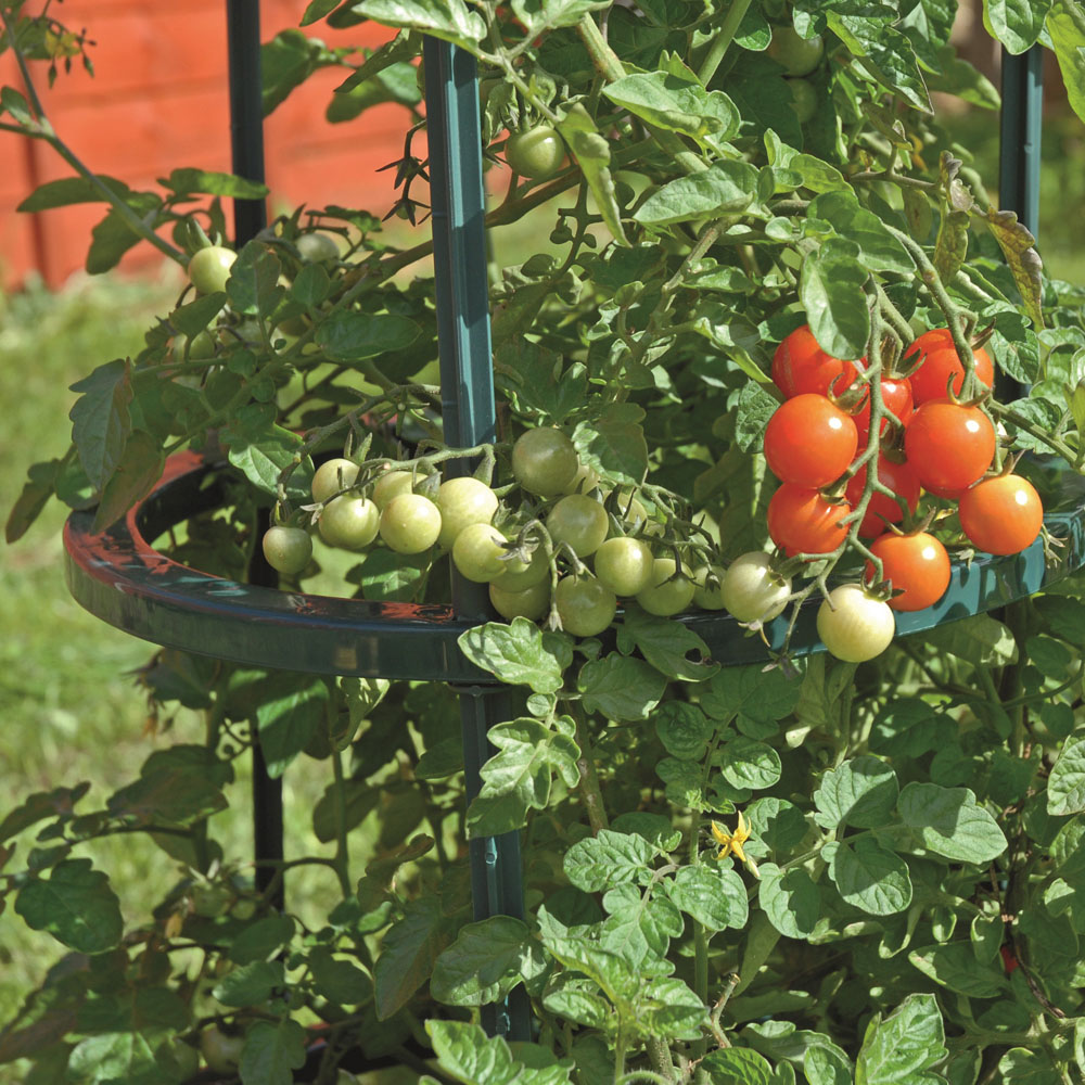 Garden Gear 5 Tier Tomato Growing Support Frame 3 Pack Image 4