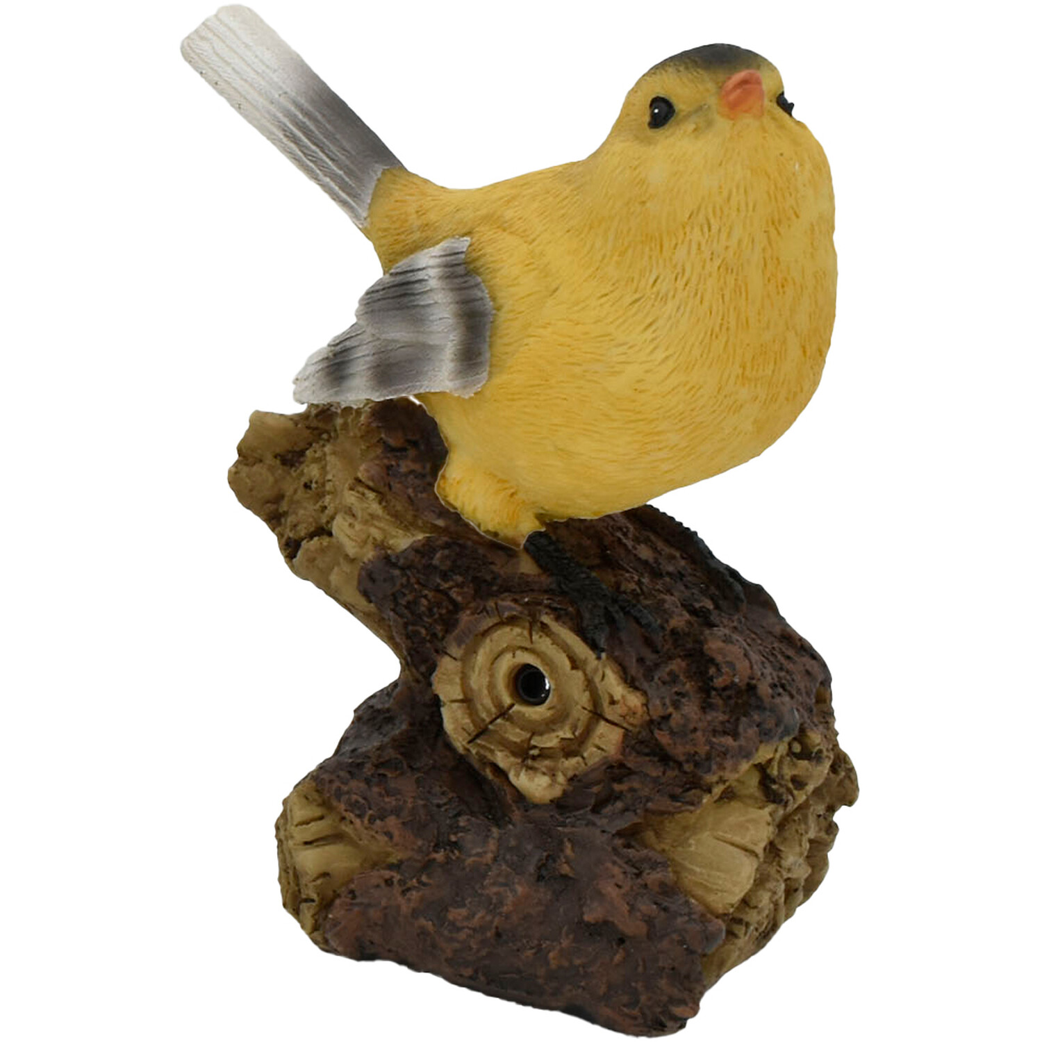 Chirping Birds Image 6