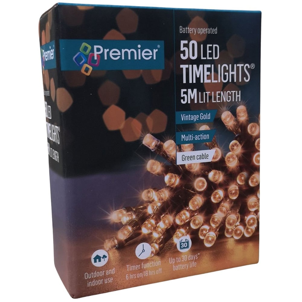 Premier TimeLights 50 Vintage Gold LED Multi-Function Green Cable String Light 5m Image 2