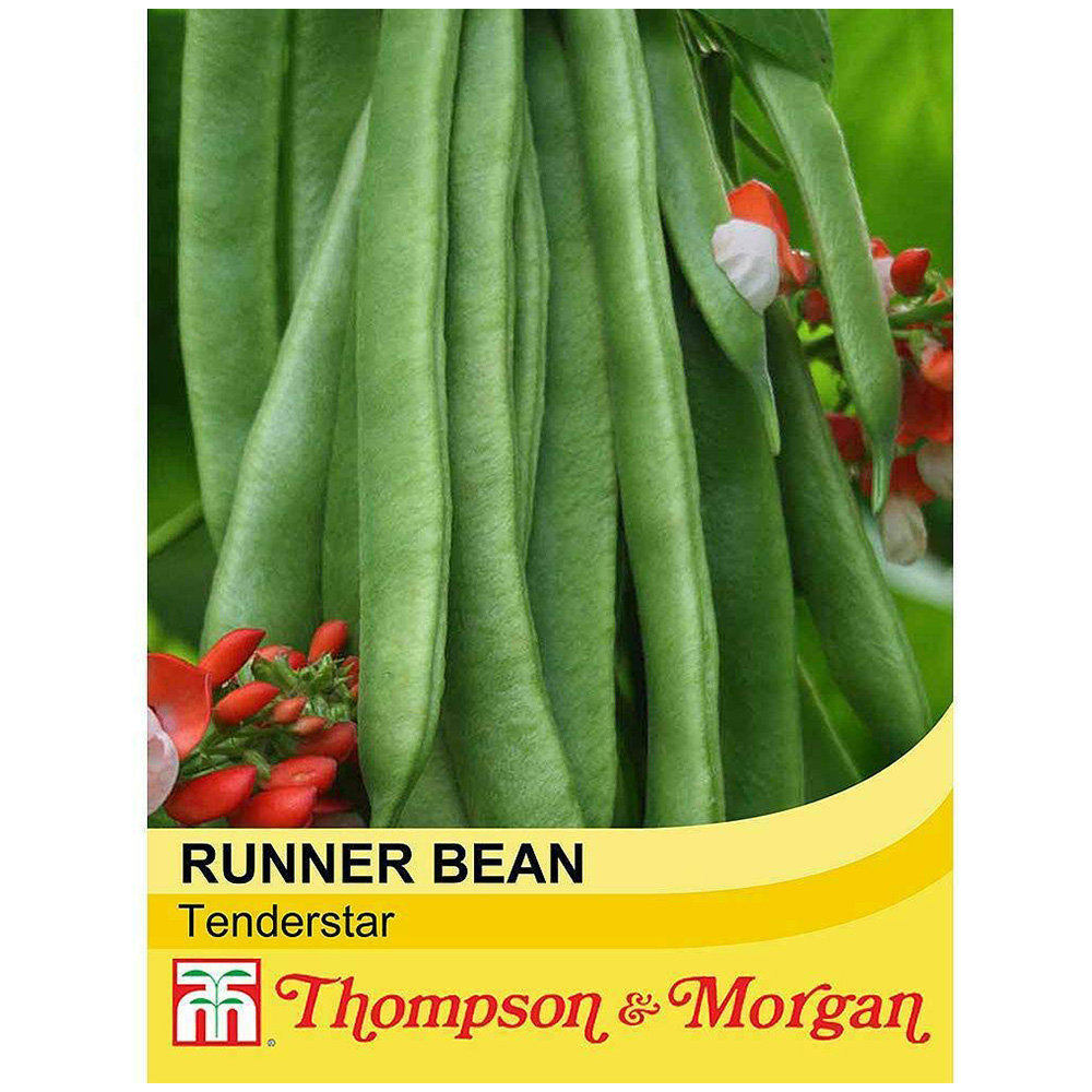 Thompson and Morgan Runner Bean Tenderstar Seeds Image 2