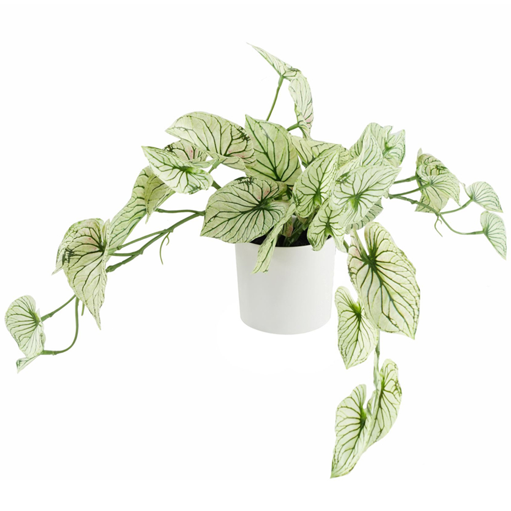 Leaf Trailing Variegated Alocasia Artificial Plant in Pot 30cm Image 1