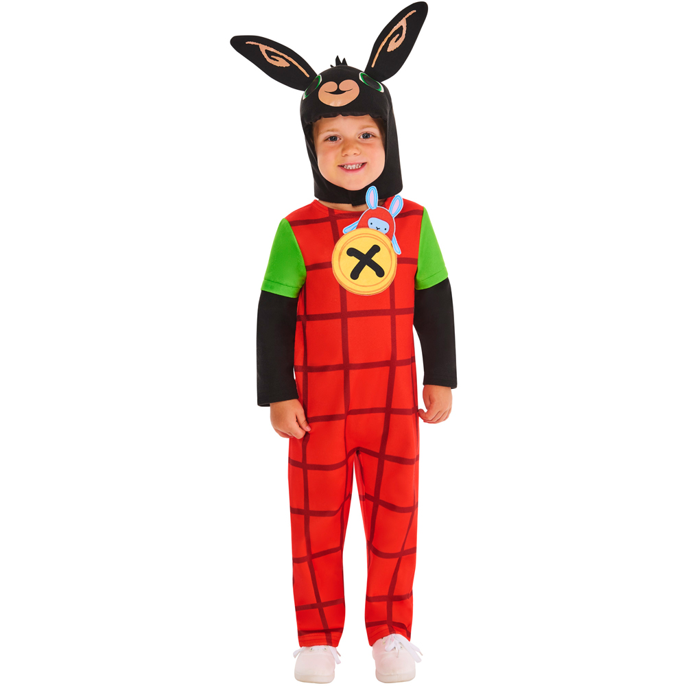 Bing Costume Age 2 to 3 Years Image 6