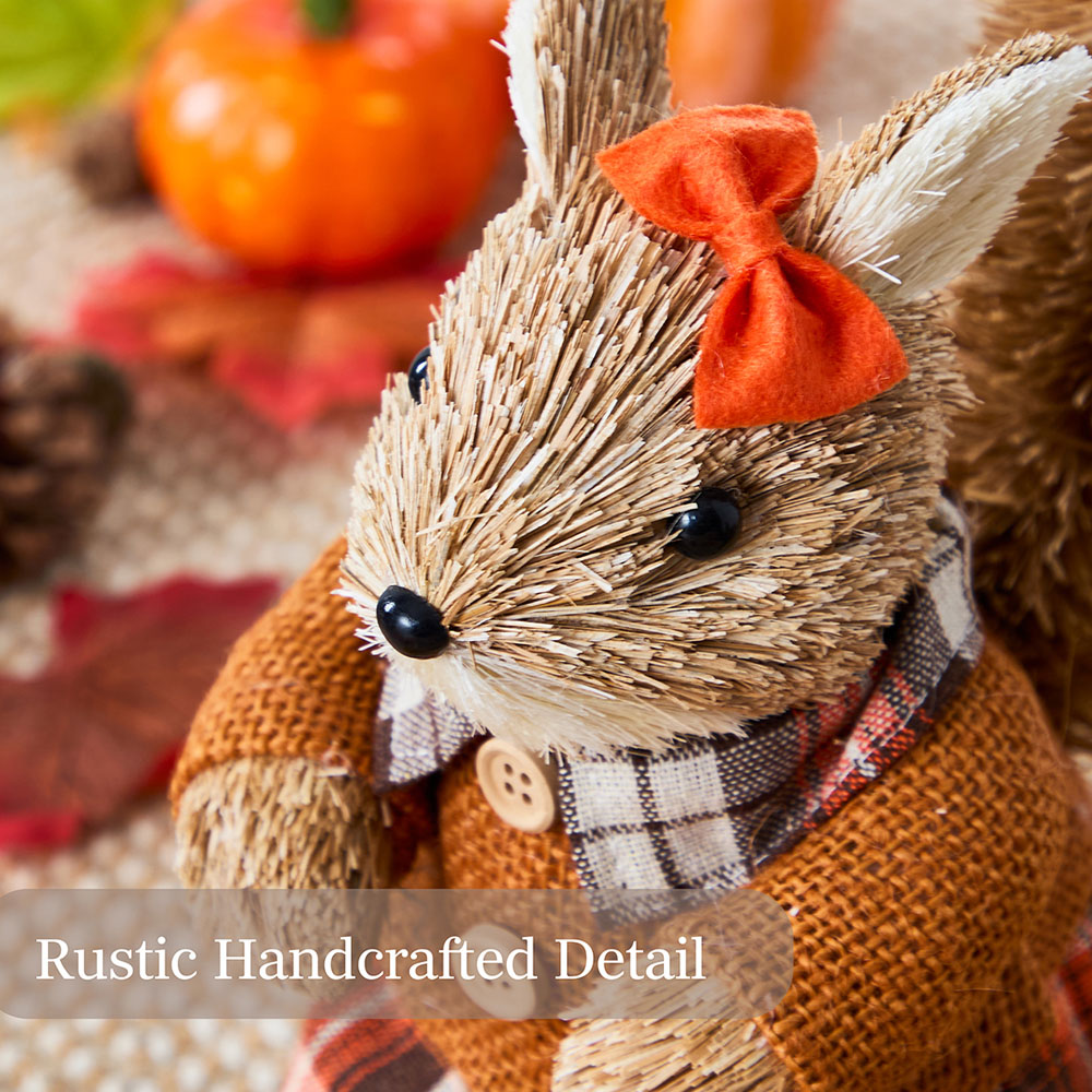 Benross Anika Mrs Squirrel Straw Decor 19cm Image 4