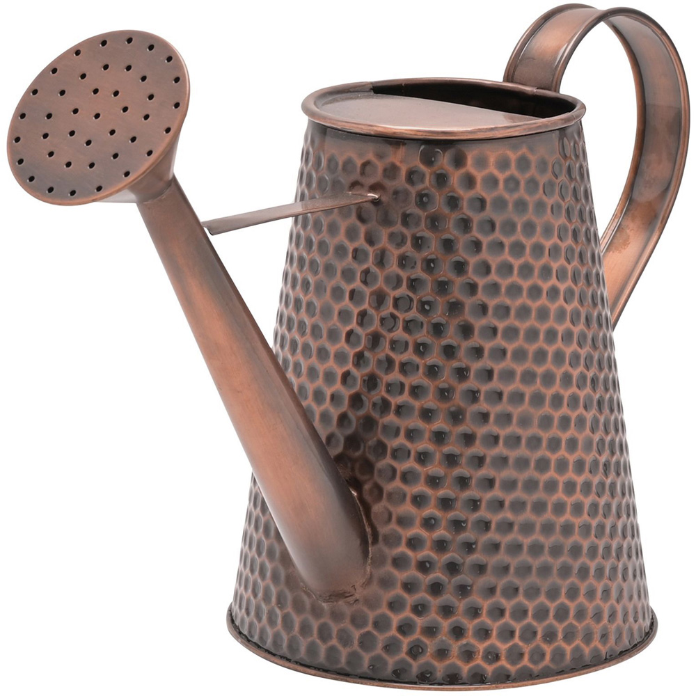 Country Living Brown Watering Can Image 3