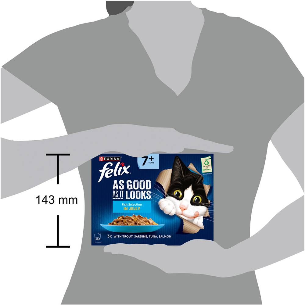 Felix As Good As It Looks Fish Selection in Jelly Senior Wet Cat Food Image 9