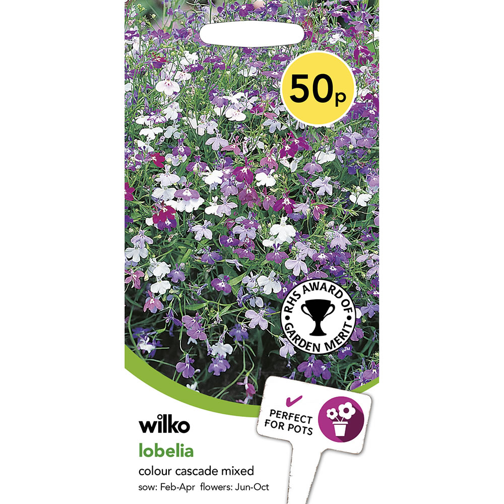 Wilko Lobelia Colour Cascade Mixed Seeds Image 2