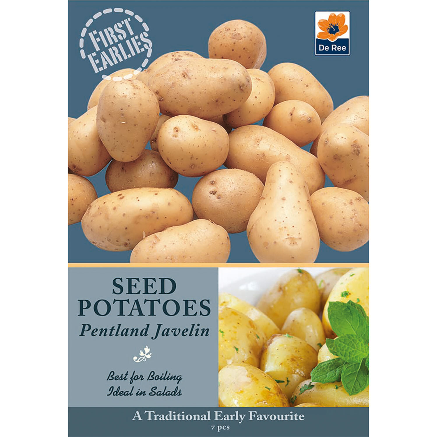 De Ree Seed Potatoes - Brown Image 12