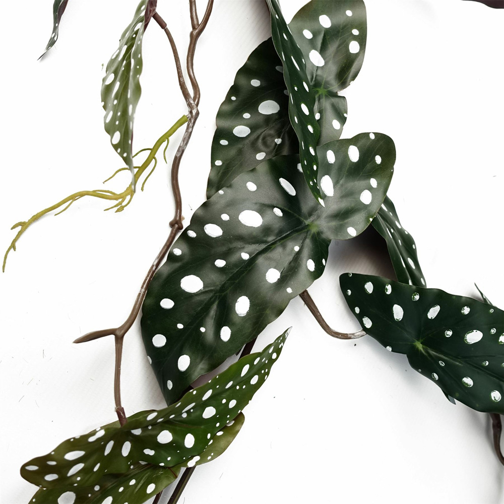 Leaf Trailing Begonia Maculata Spotted Hanging Artificial Plant 110cm Image 4