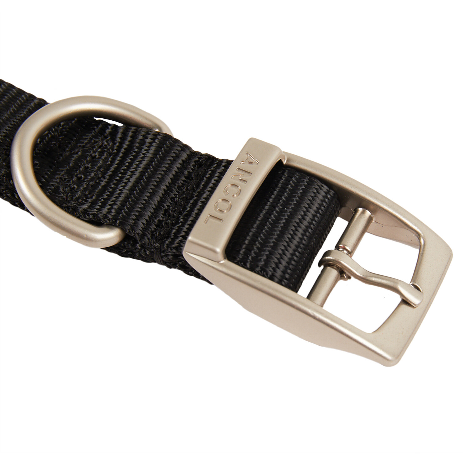 Viva Padded Collar - Black Image 2