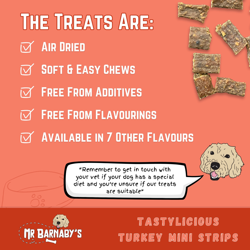 Mr Barnaby's Tastylicious Turkey Mini Strips Grain-Free Hypoallergenic Dog Treats 100g 2 Pack Image 6