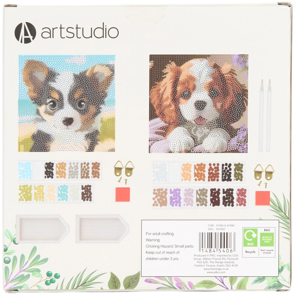 Kitten or Puppy Crystal Canvas Twinpack Image 7