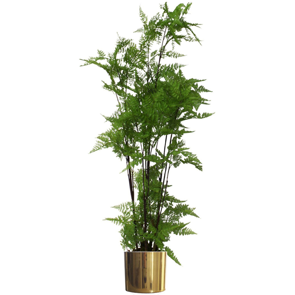 Botanik Natural Look Moss Fern Artificial Plant in Gold Planter 4.9ft Image 1