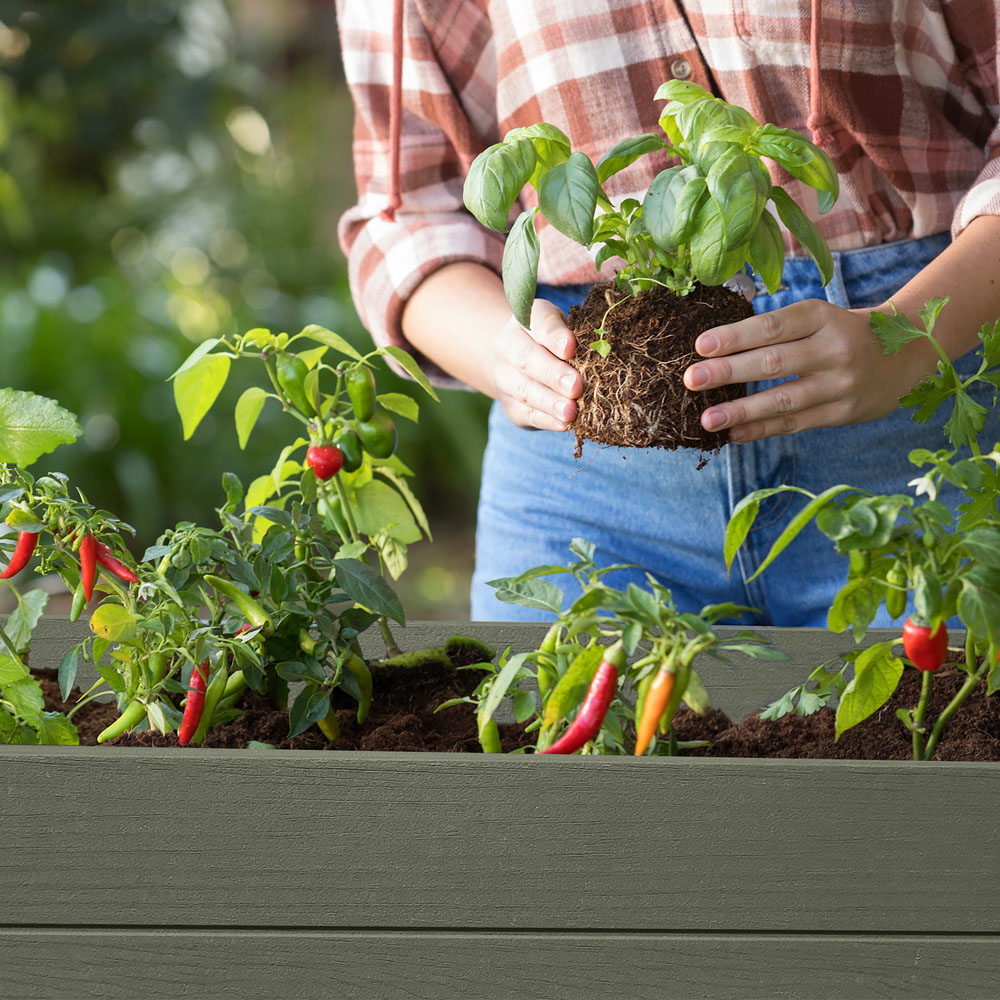 Keter Darwin 1.5 x 3.7ft Green Raised Garden Bed Image 4
