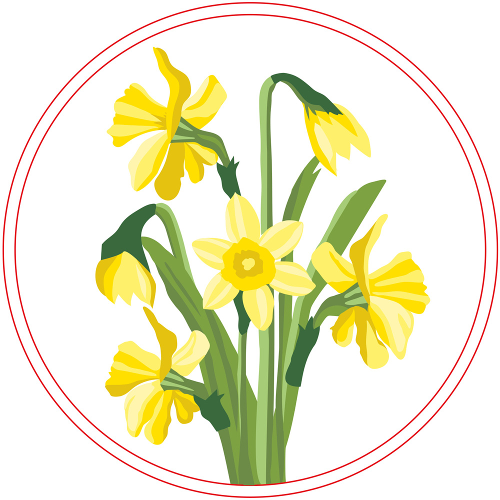 Simply Make Daffodil Embroidery Craft Kit Image 4