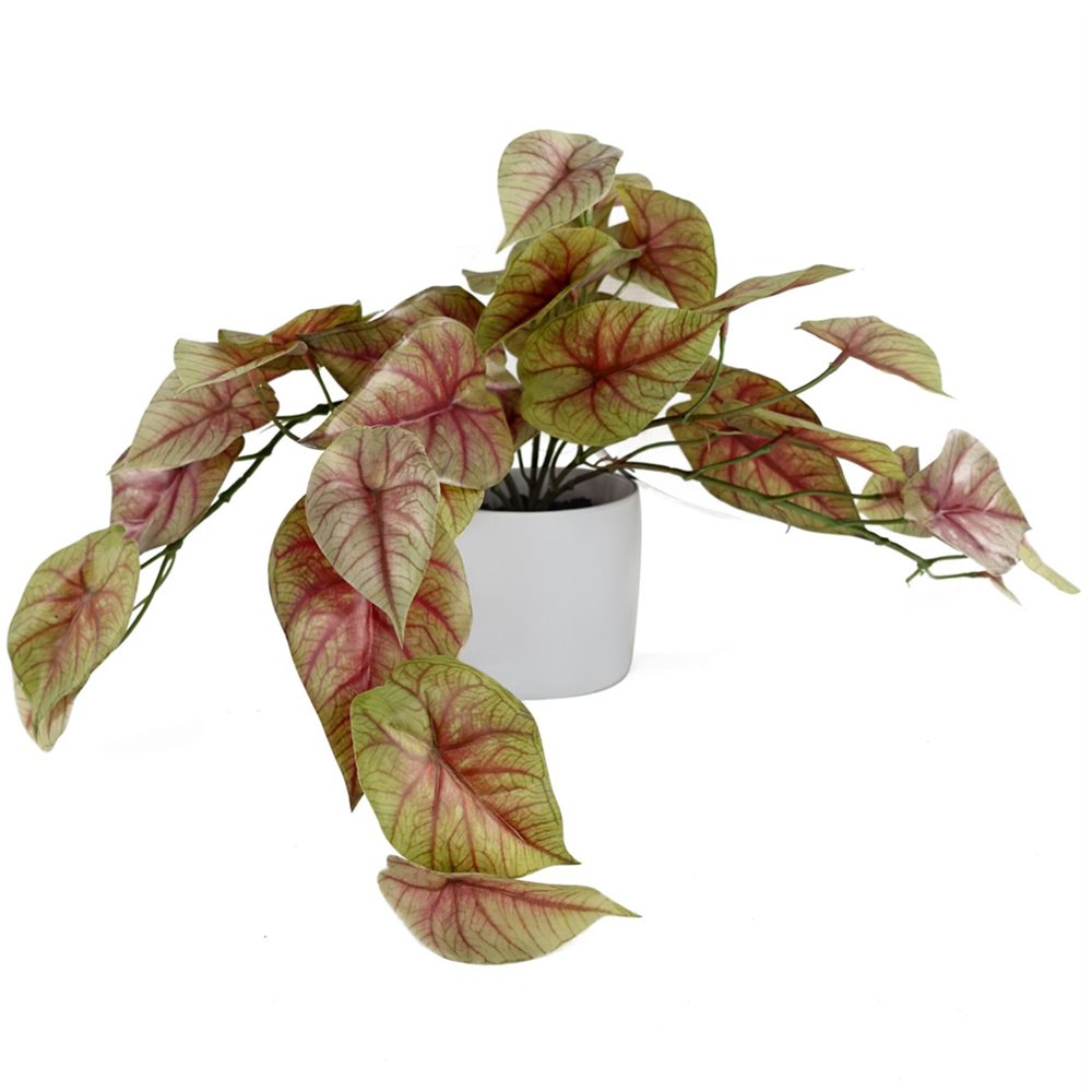 Leaf Trailing Pink Caladium Artificial Plant in Pot 30cm Image 1