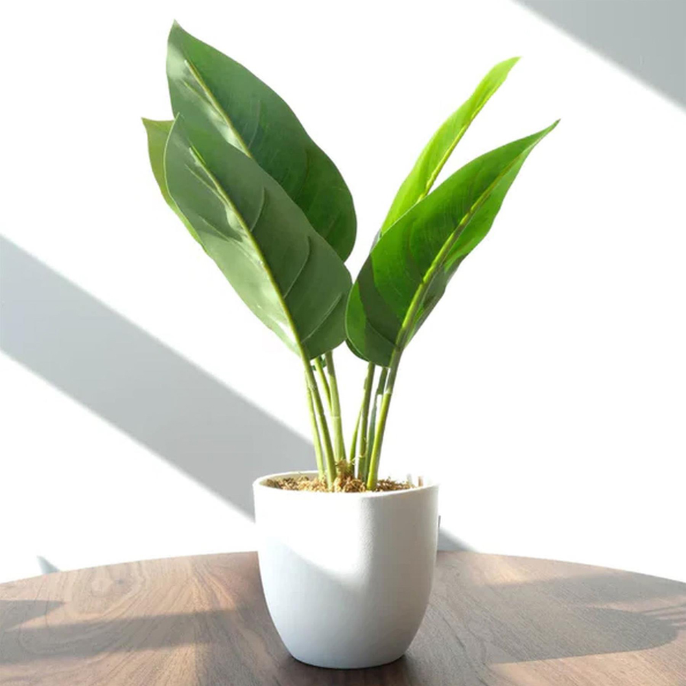 Leaf Aureum Artificial Plant in Pot 45cm Image 2