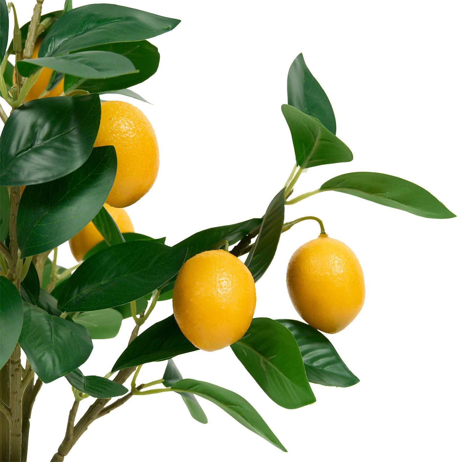 Potted Faux Citrus Tree Image 10