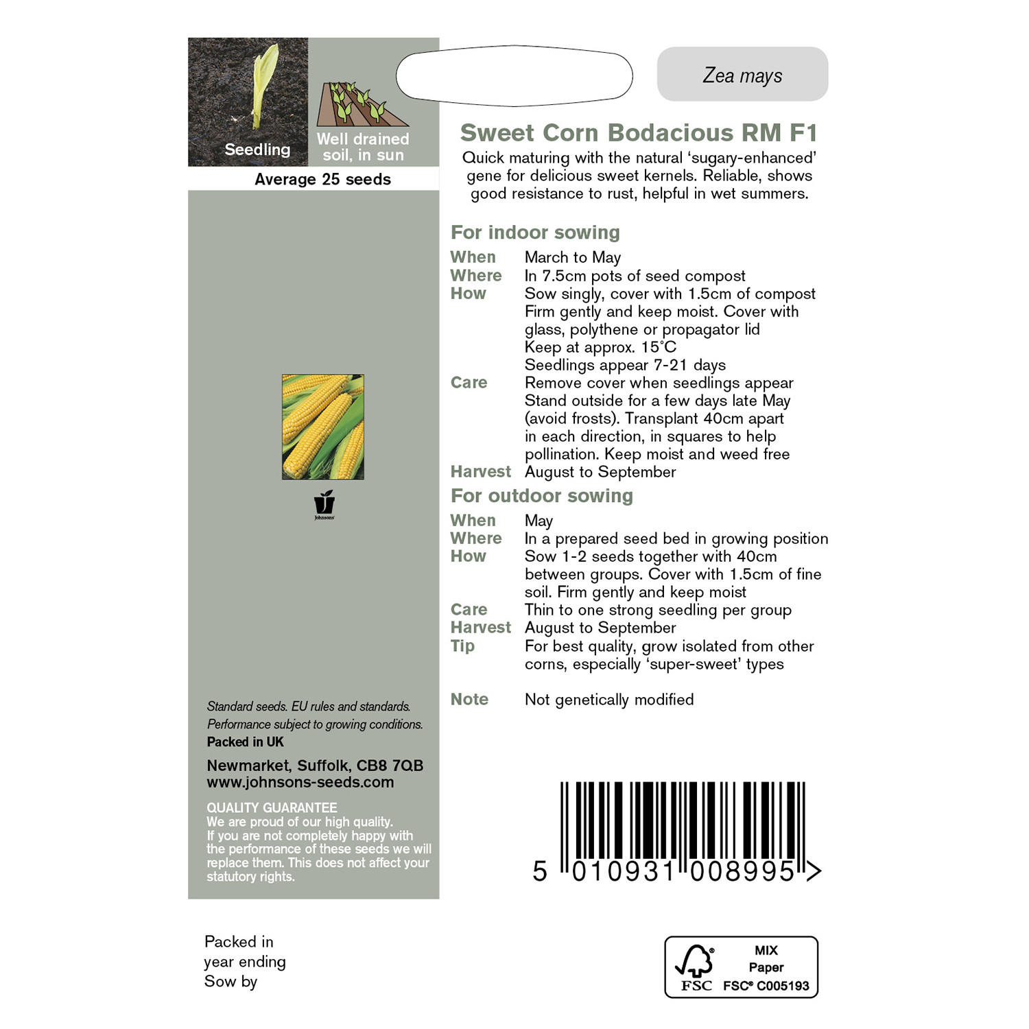 Johnsons Bodacious RM F1 Sweet Corn Seeds Image 3