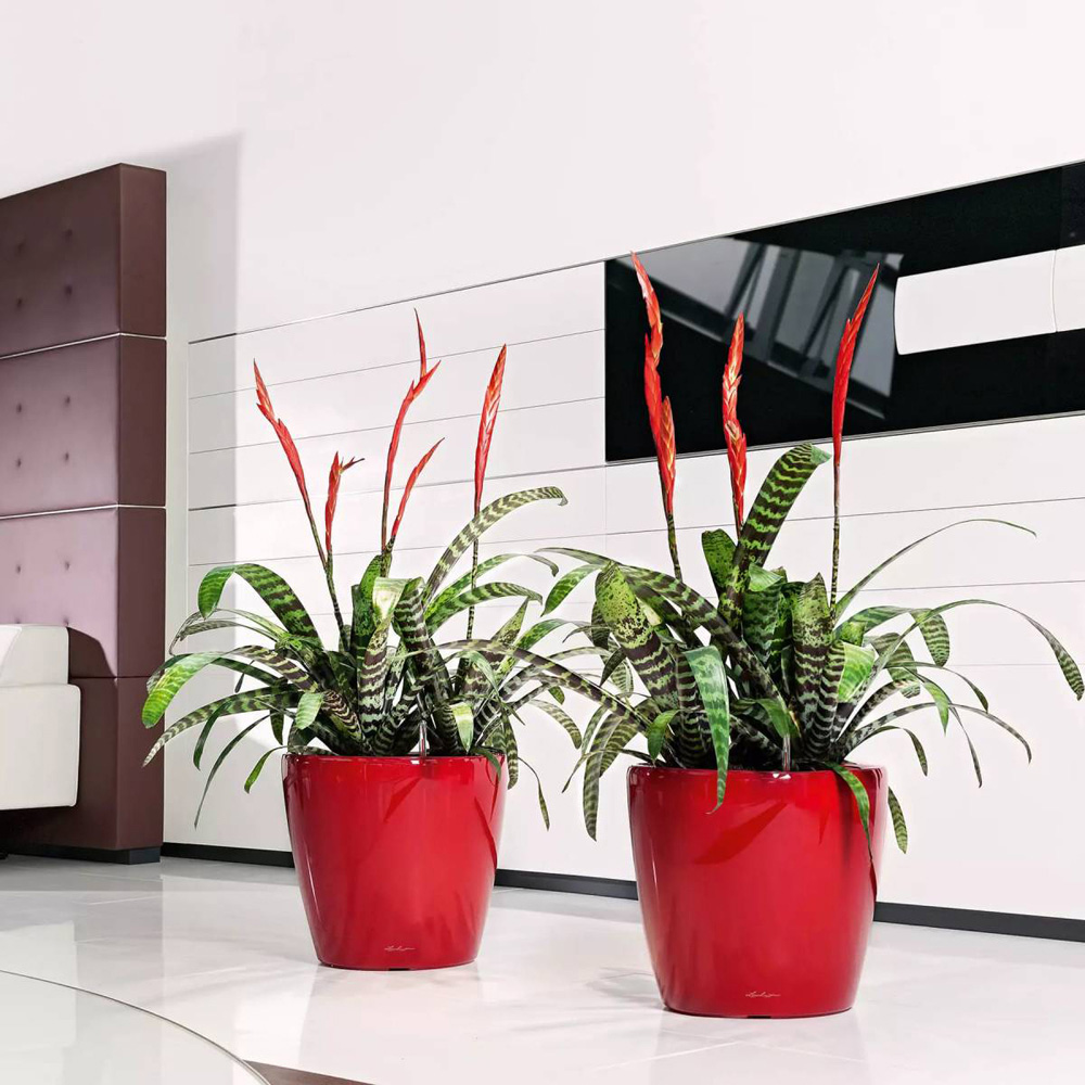 Lechuza Classico 43 LS Black Poly-Resin Self-Watering Planter 40cm Image 5