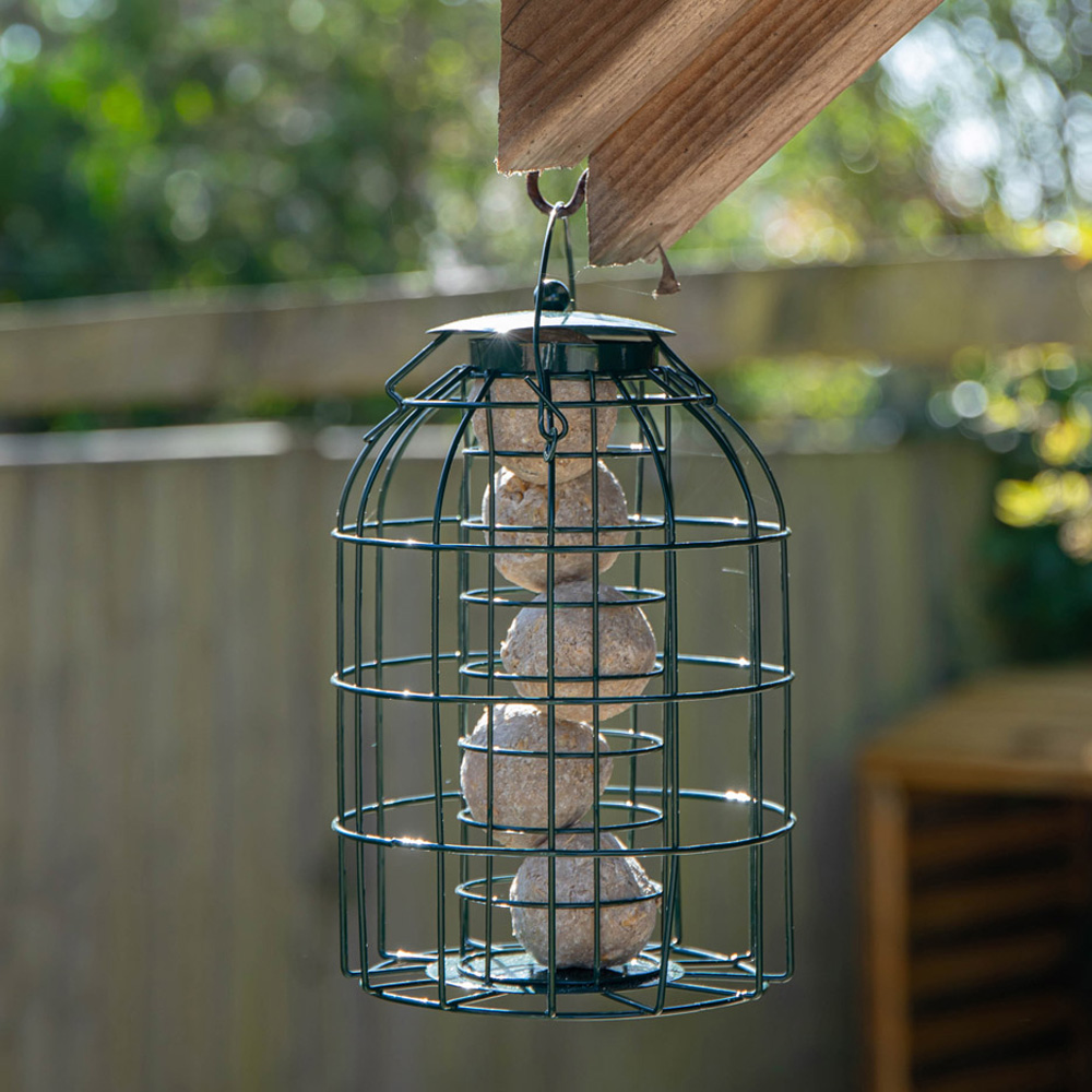 Samuel Alexander Wild Bird Fat Ball Feeder with Squirrel Guard and Fat Ball Image 7