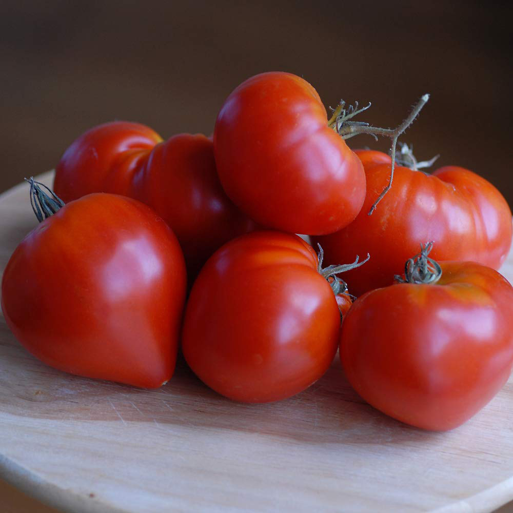 Thompson & Morgan F1 VOTY Tomato Gourmandia Seed Packet Image 3