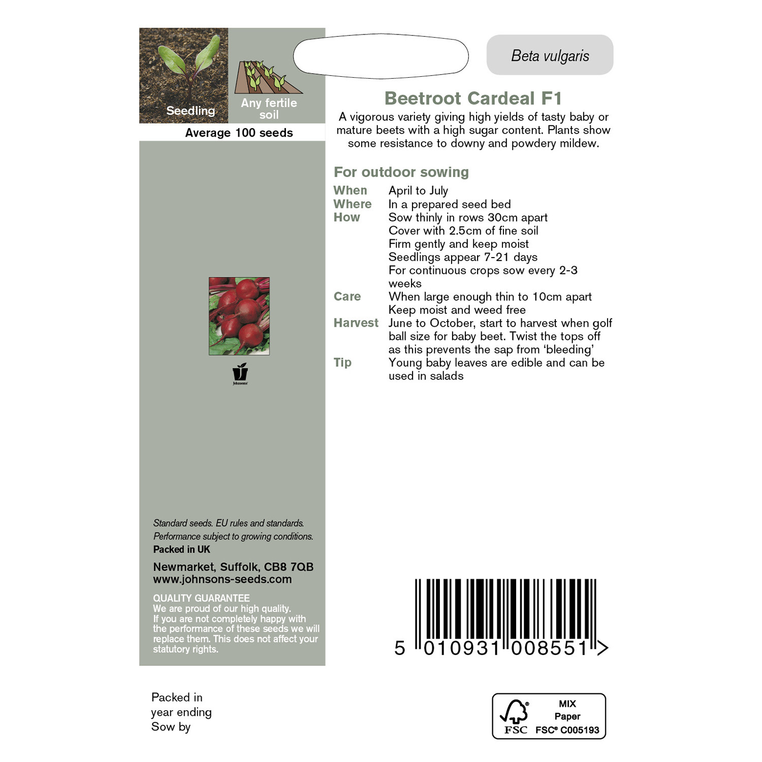Johnsons Cardeal F1 Beetroot Seeds Image 3