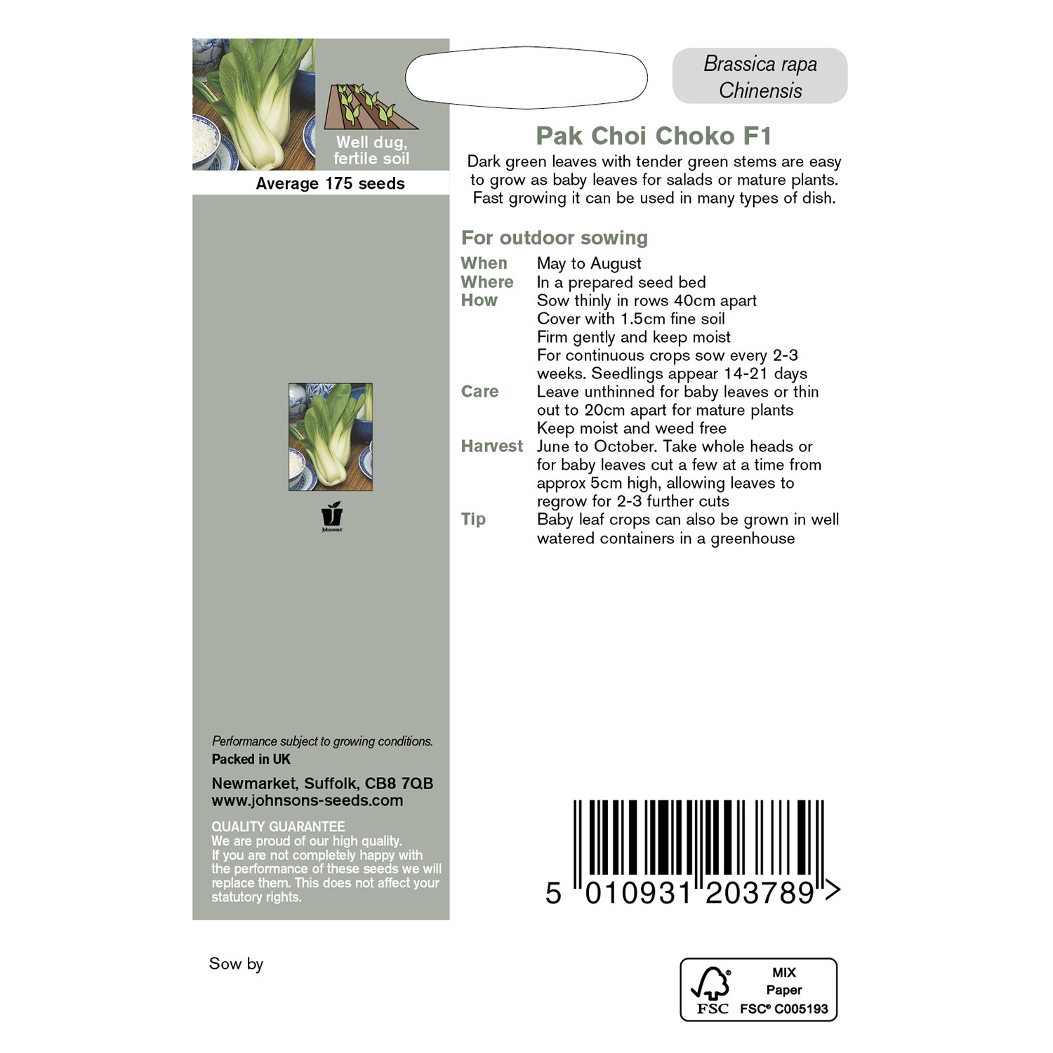 Johnsons Choko F1 Pak Choi Seeds Image 3
