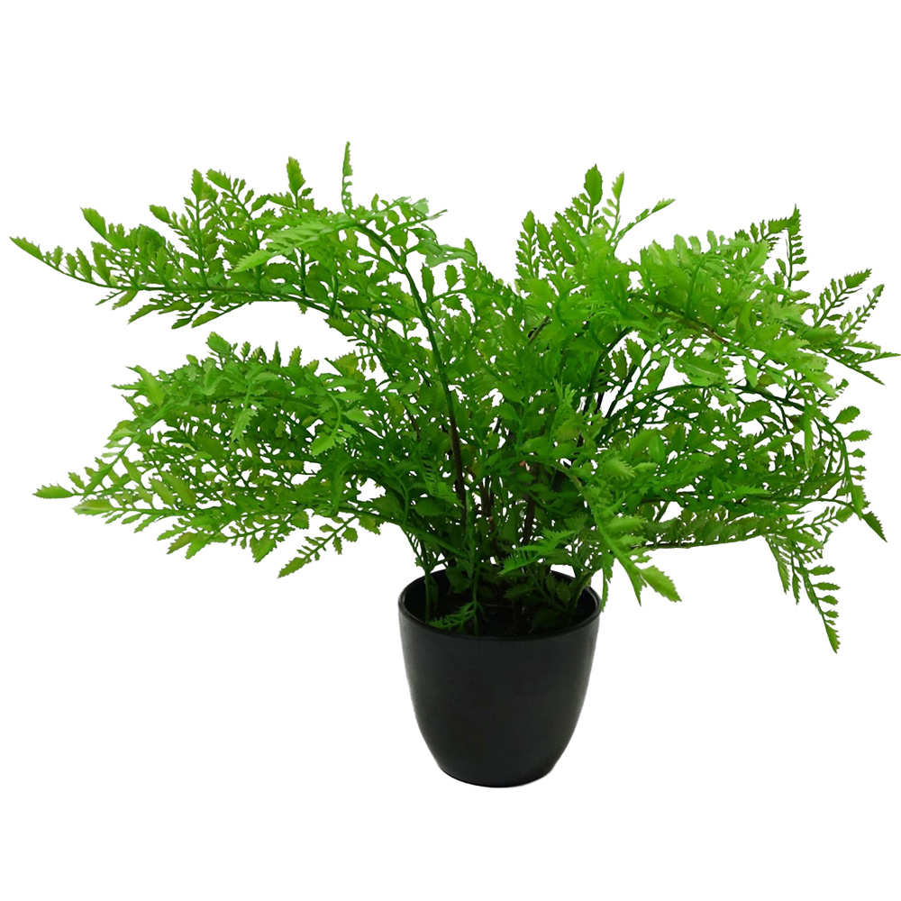 Leaf Southern Wood Fern Artificial Plant in Black Pot 30cm Image 1