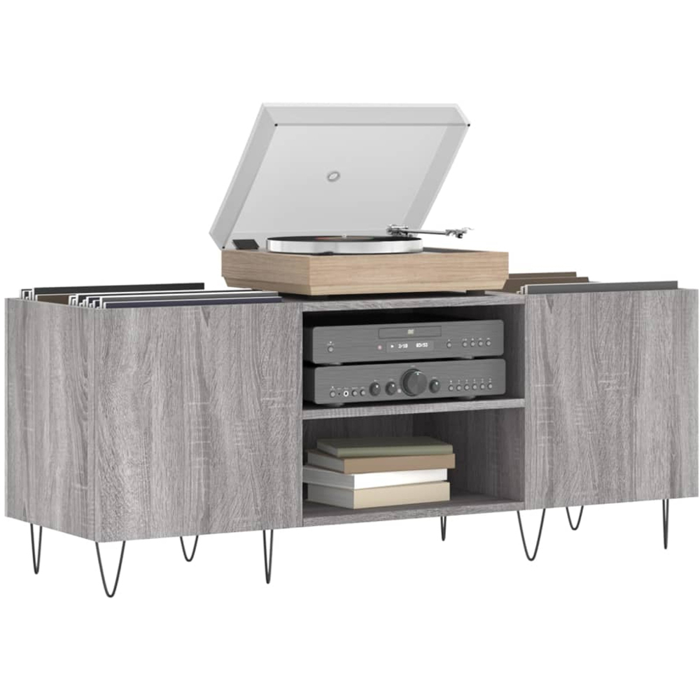 vidaXL 2 Shelf Grey Sonoma Record Cabinet Image 3