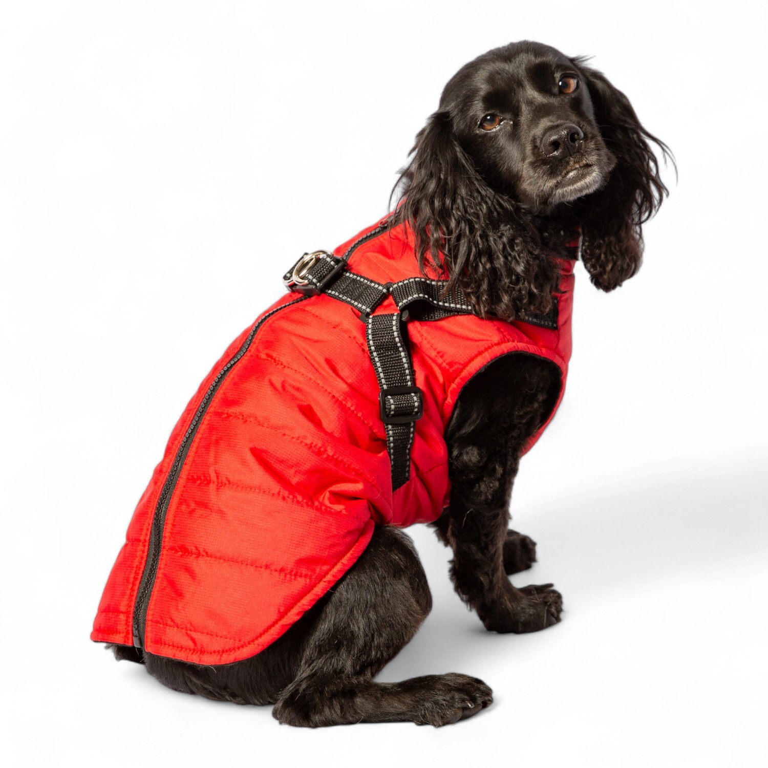 Dog Harness Jacket M Image 11