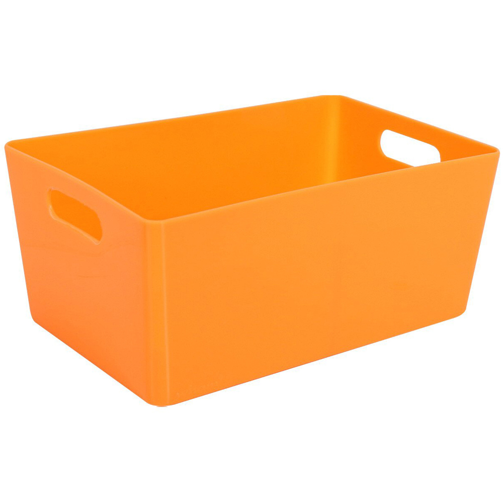 Set of 4 Studio Neon Baskets Image 4