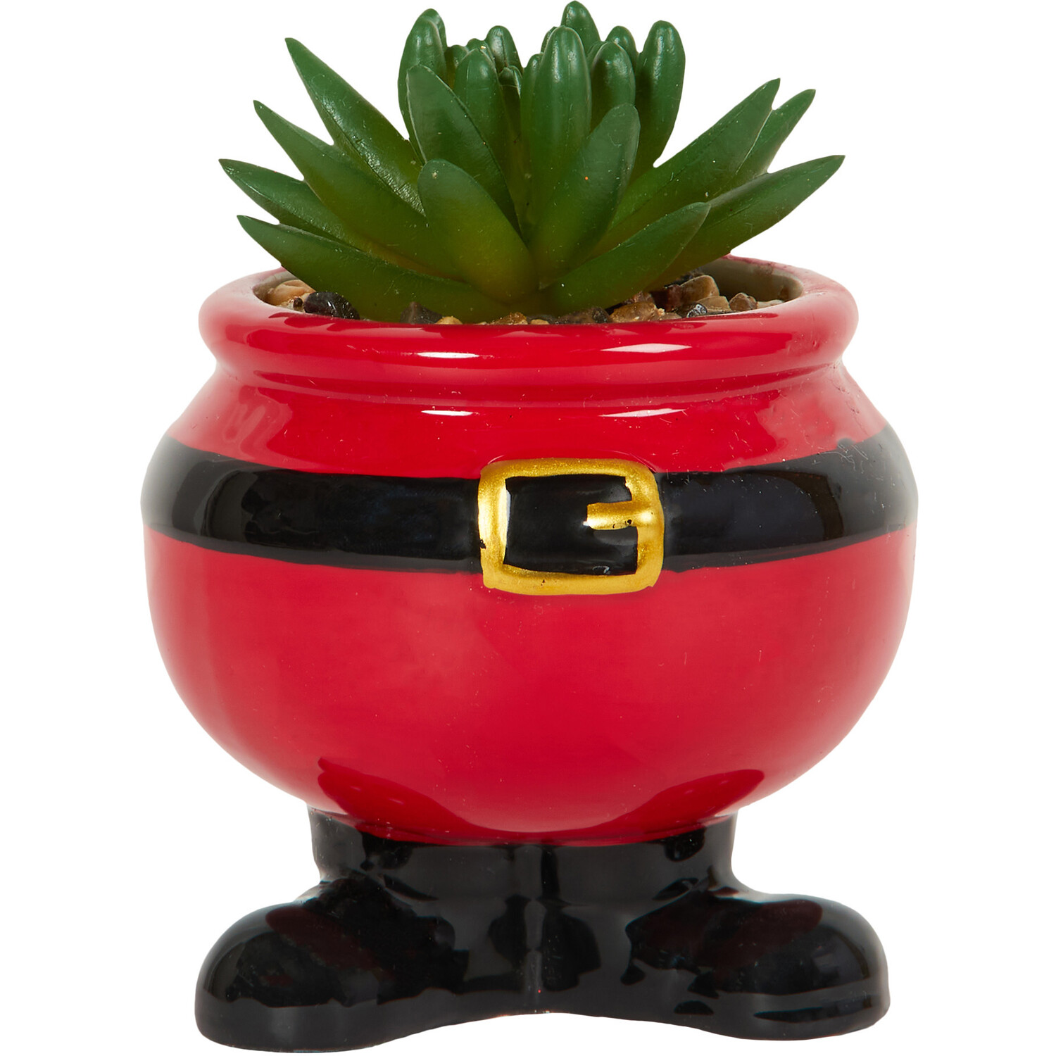 Novelty Christmas Succulent Image 1