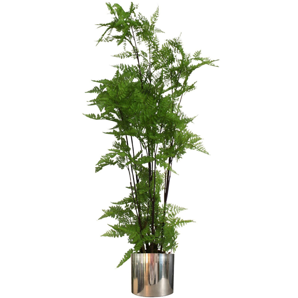 Botanik Polished Silver Finish Metal Planter 20 x 18cm Image 6
