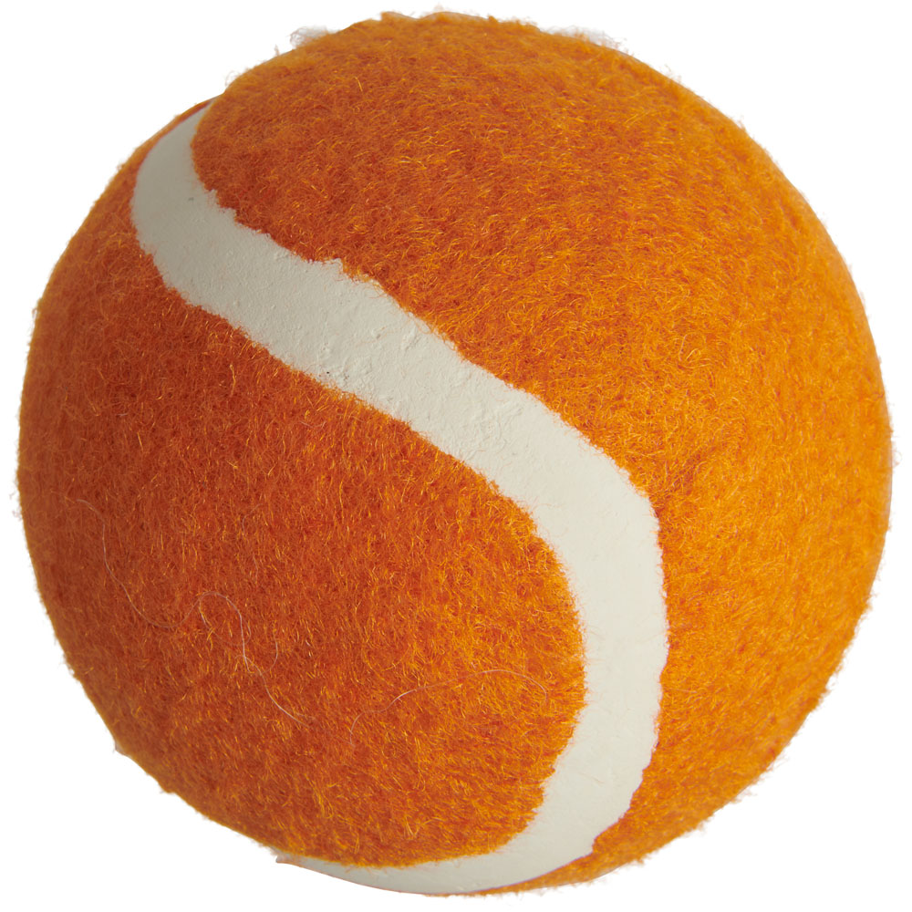 Wilko Avocado with Tennis Ball Dog Toy Image 5