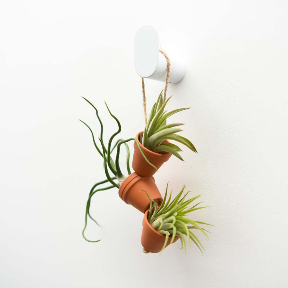Thompson and Morgan Mini Air Plant Pot on Rope 3 Pack Image 3