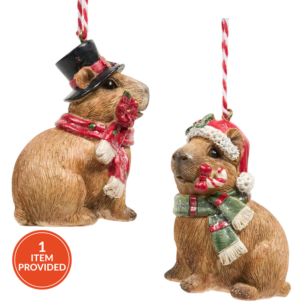 Capybara Hanging Decoration Image 1