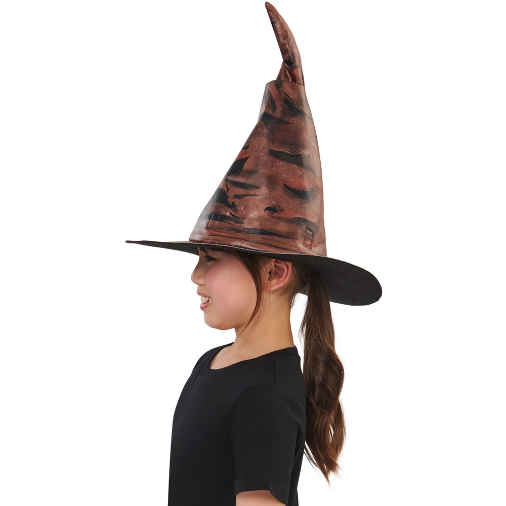 Harry Potter Sorting Hat Image 4