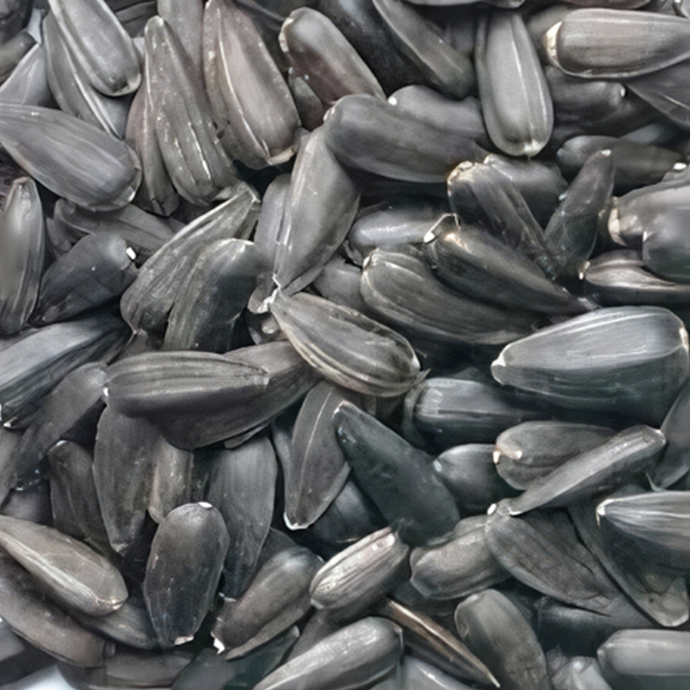 Bucktons Black Sunflower Seeds 20kg Image 2