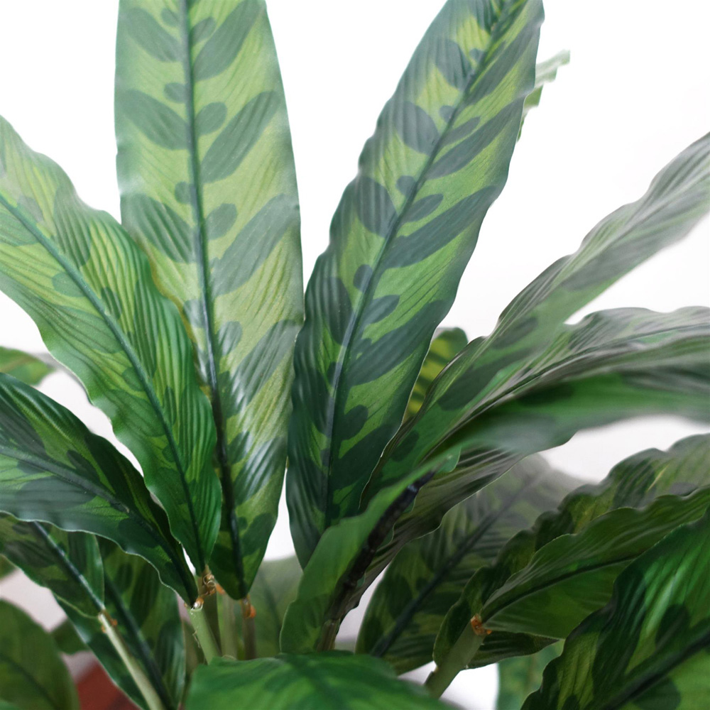 Leaf Green Variegated Calathea Artificial Plant Pot 1.9ft Image 4