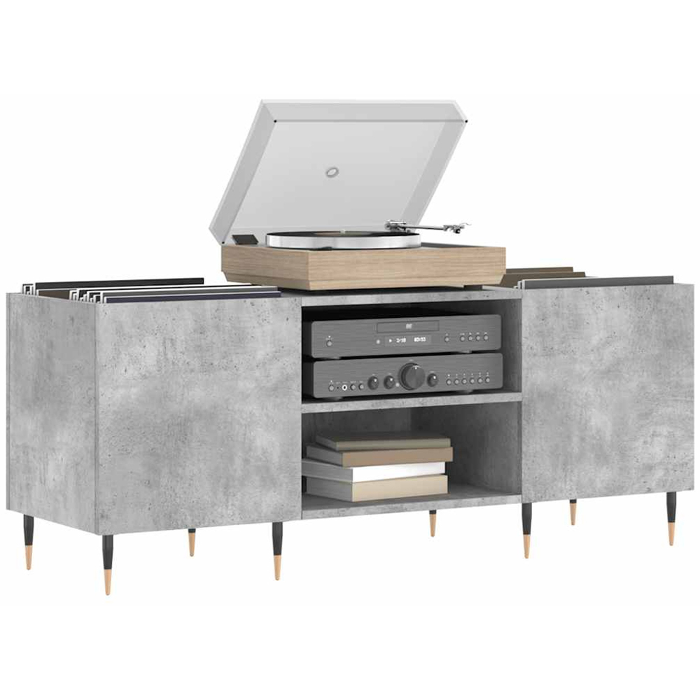 vidaXL 2 Shelf Concrete Grey Record Cabinet Image 3