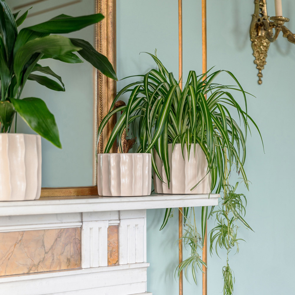 Ivyline Kew Cream Ceramic Organic Ripple Bone Matt Satin Glaze Indoor Planter 22cm Image 2
