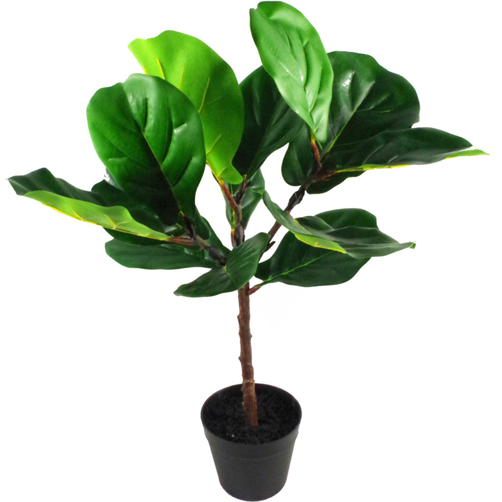 Botanik Fiddle Fig Artificial Tree in Pot 60cm Image 2