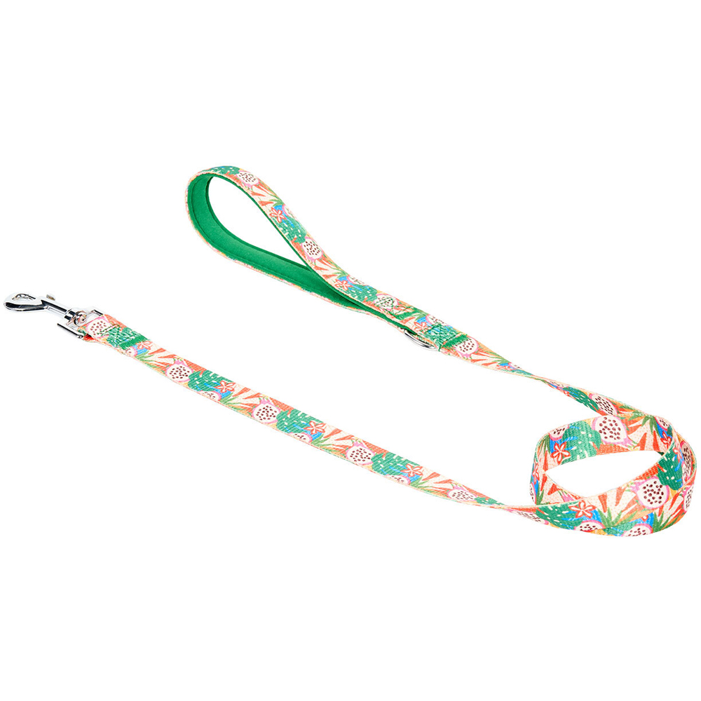 Jungle Fruits Collar and Lead Set Image 3