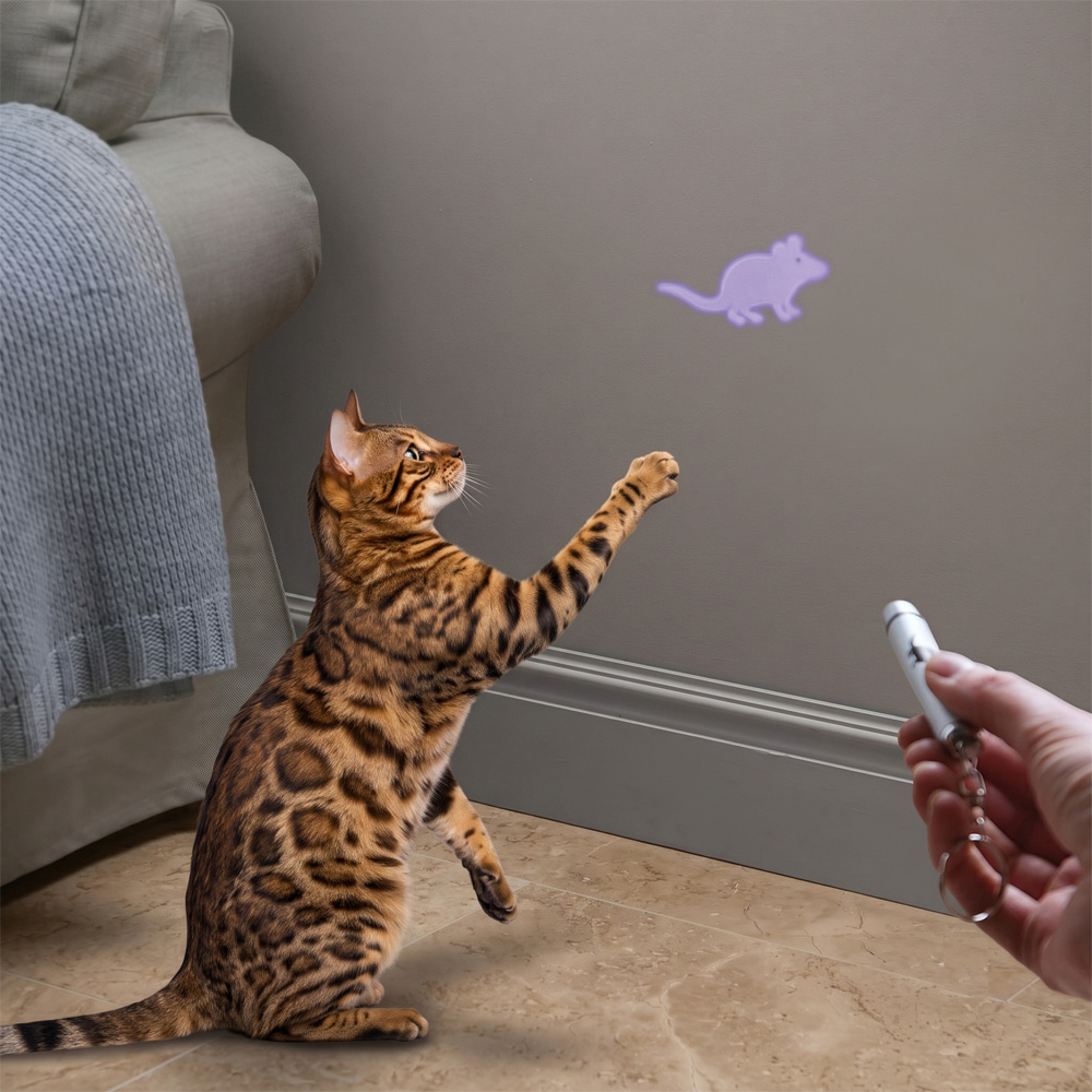 Avilo Interactive Tease Torch Cat Toy Image 4