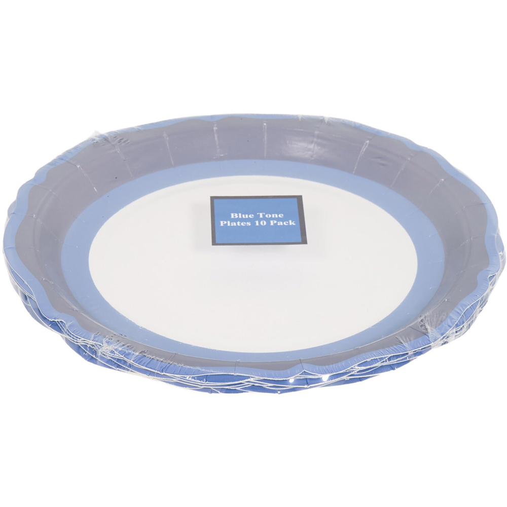 Pack of 10 Blue Tone Party Plates Image 2